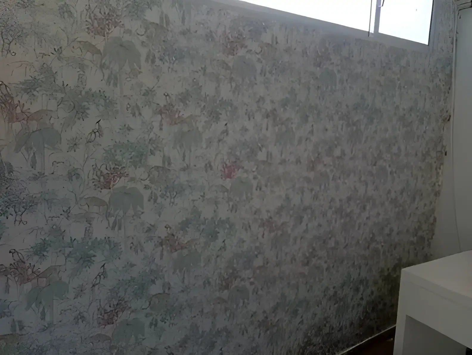 Los Pintores Huelva colocando papel pintado decorativo en pared completa de habitación
